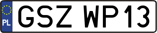 GSZWP13