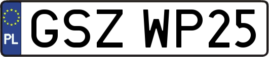 GSZWP25