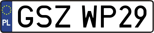 GSZWP29