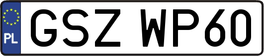 GSZWP60