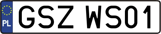 GSZWS01
