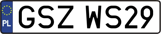 GSZWS29