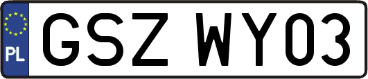GSZWY03