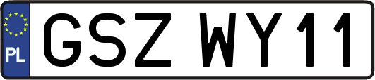 GSZWY11
