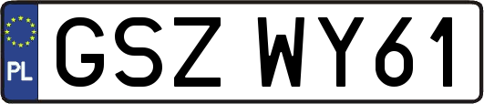 GSZWY61