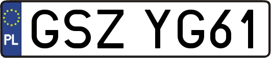 GSZYG61
