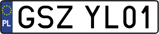 GSZYL01