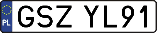 GSZYL91
