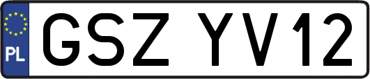 GSZYV12