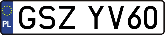 GSZYV60
