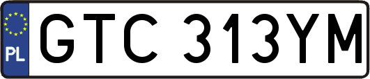 GTC313YM
