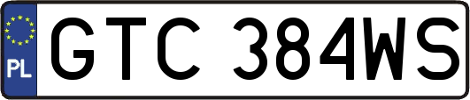 GTC384WS