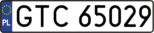 GTC65029