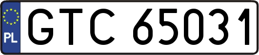 GTC65031