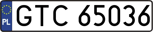 GTC65036