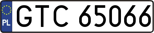 GTC65066