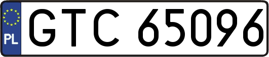GTC65096