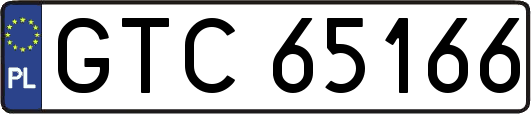GTC65166