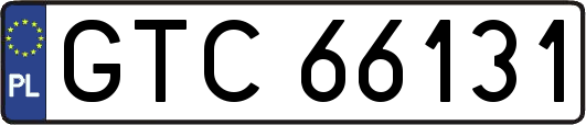 GTC66131