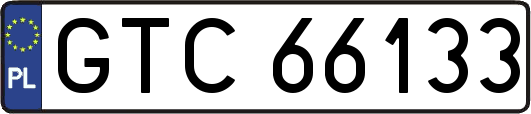 GTC66133
