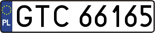 GTC66165