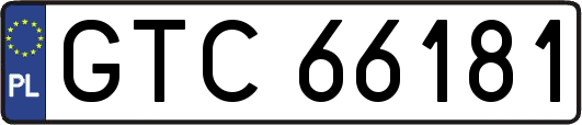 GTC66181