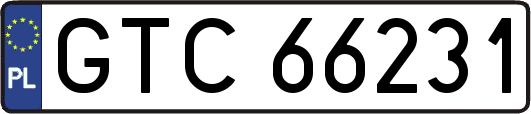 GTC66231