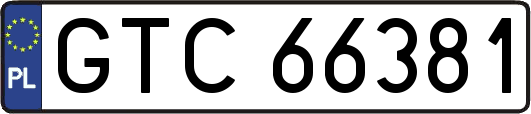 GTC66381