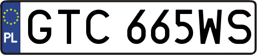 GTC665WS