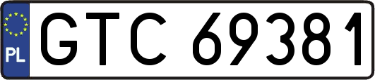 GTC69381