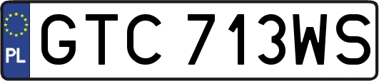 GTC713WS