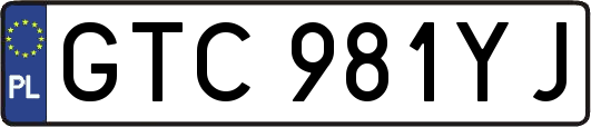 GTC981YJ