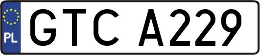 GTCA229