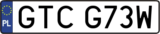GTCG73W