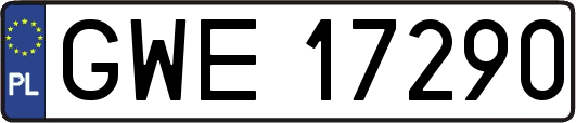 GWE17290