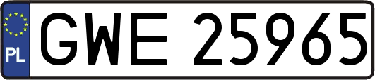 GWE25965