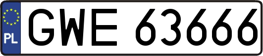 GWE63666