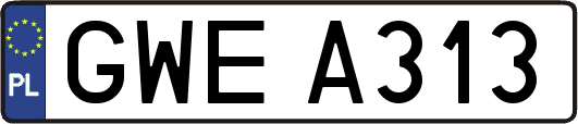 GWEA313
