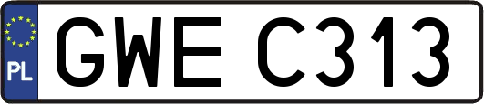 GWEC313