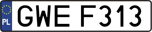 GWEF313