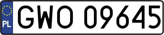 GWO09645