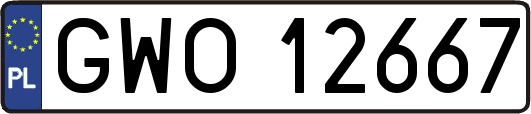 GWO12667