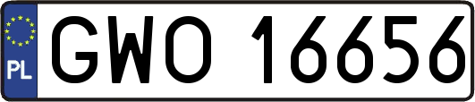GWO16656