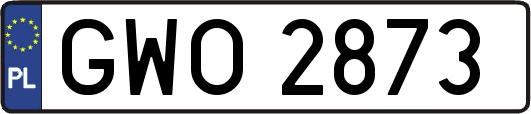 GWO2873