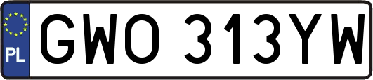 GWO313YW