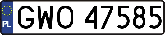 GWO47585