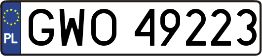 GWO49223