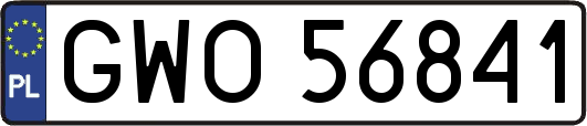 GWO56841