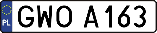 GWOA163