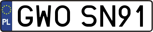 GWOSN91